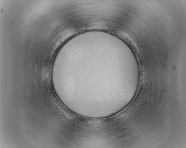 X0000088830882200707051419