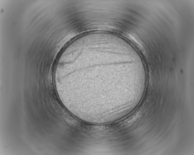 X0000088830883200707051419