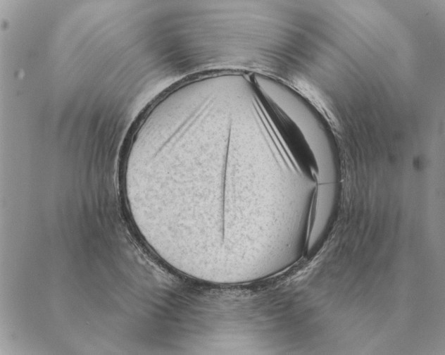 X0000088830884200707051419