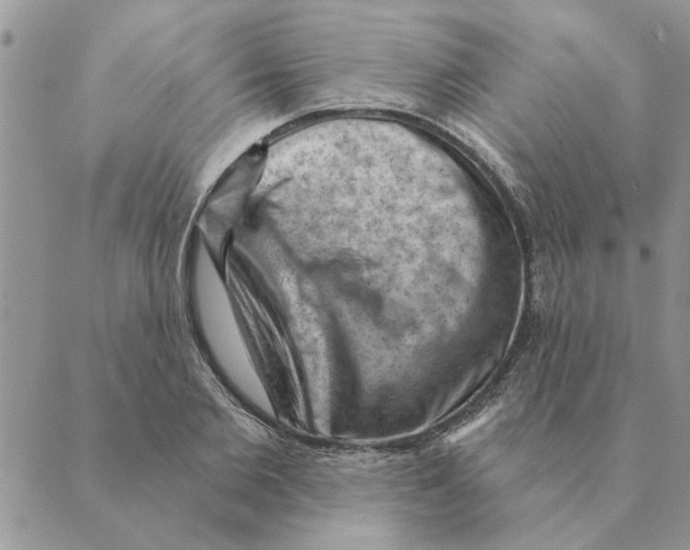 X0000088830885200707051419