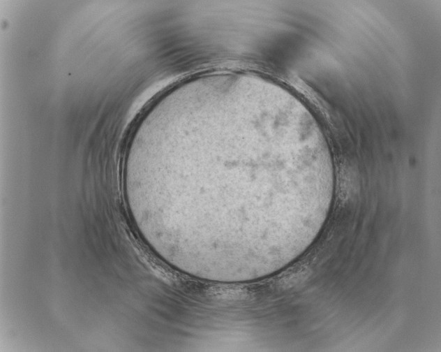 X0000088830886200707051419