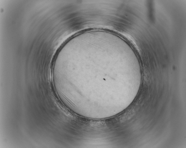 X0000088830887200707051419