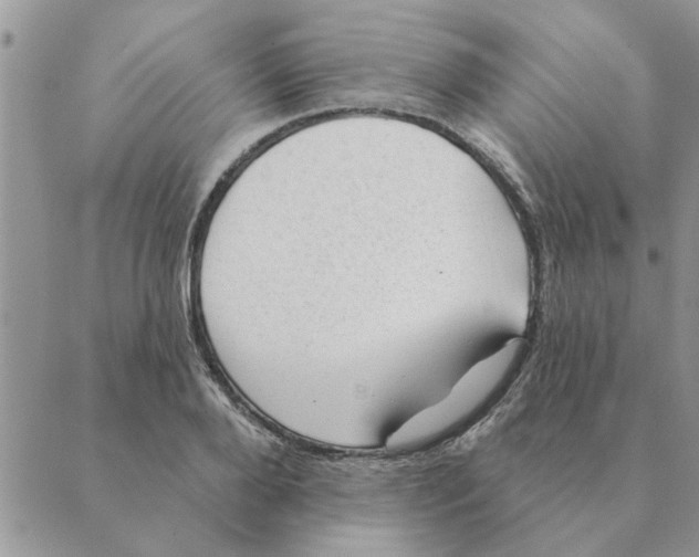 X0000088830888200707051419