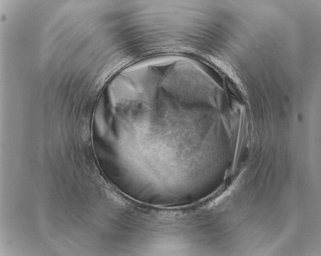 X0000088830889200707051419