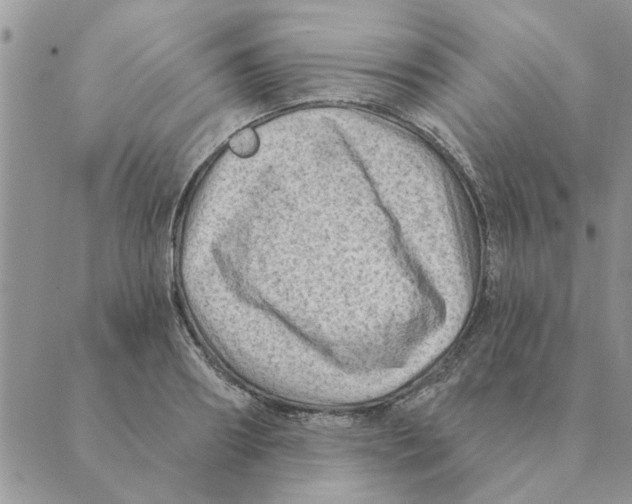 X0000088830890200707051419