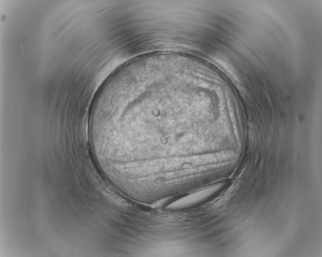 X0000088830891200707051419