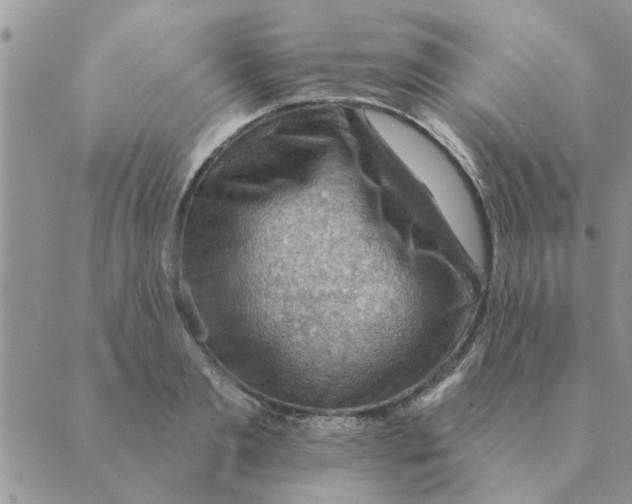 X0000088830893200707051419