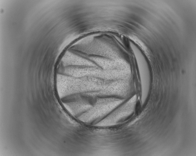 X0000088830894200707051419