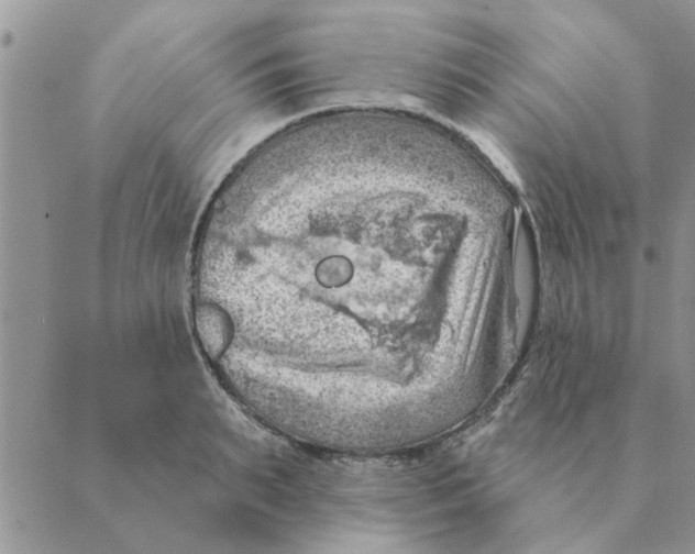 X0000088830895200707051419