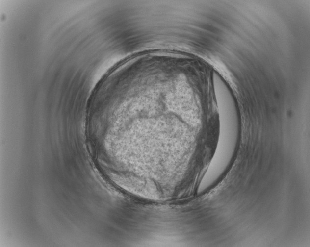 X0000088830896200707051419