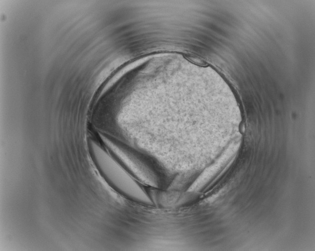 X0000088830898200707051419