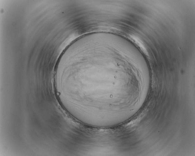 X0000088830899200707051419