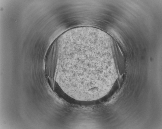 X0000088830900200707051419