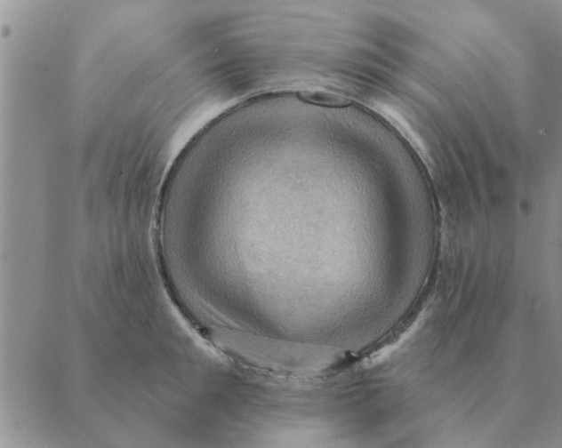 X0000088830901200707051419