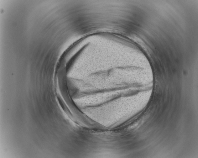 X0000088830902200707051419