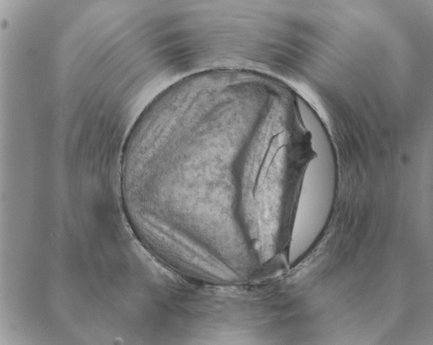 X0000088830903200707051419