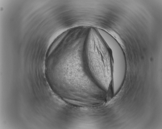 X0000088830904200707051419