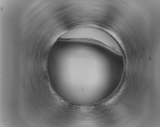 X0000088830905200707051419