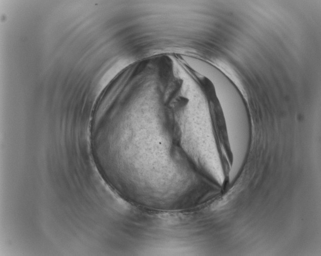 X0000088830906200707051419