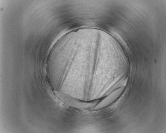 X0000088830908200707051419