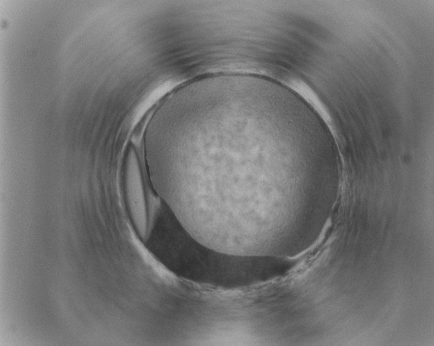 X0000088830909200707051419