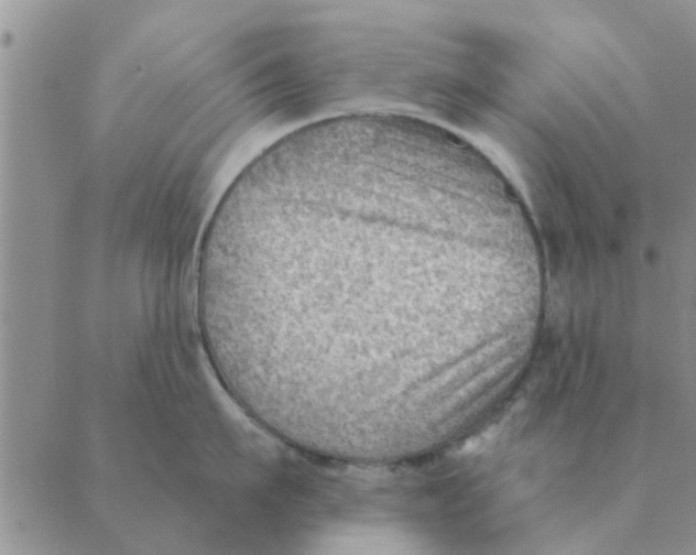 X0000088830911200707051419