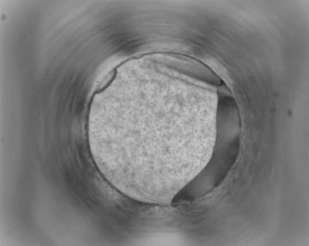 X0000088830912200707051419