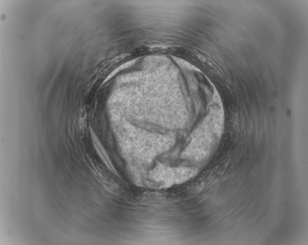 X0000088830914200707051418