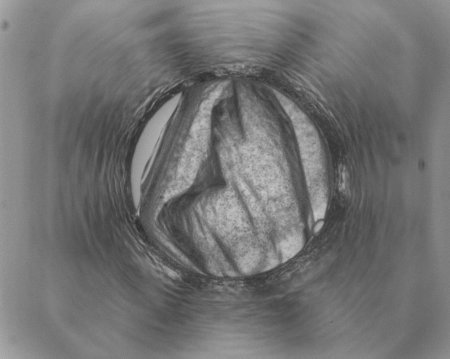 X0000088830915200707051418