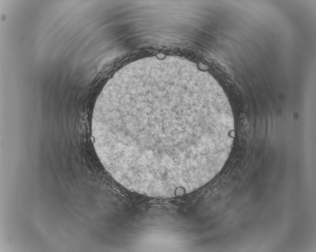 X0000088830918200707051418