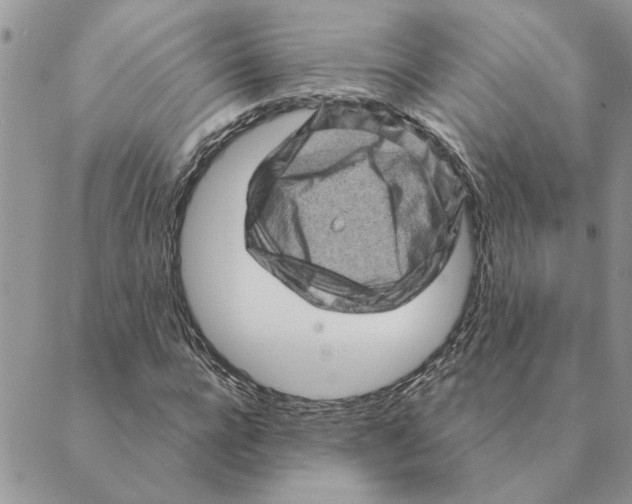 X0000088830920200707051418