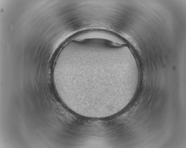 X0000088830926200707051418