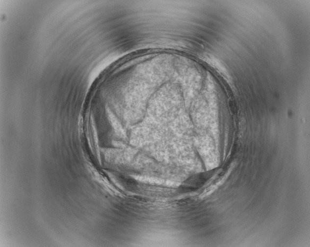 X0000088830928200707051418