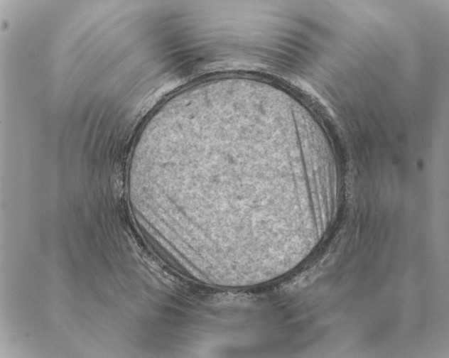 X0000088830929200707051418