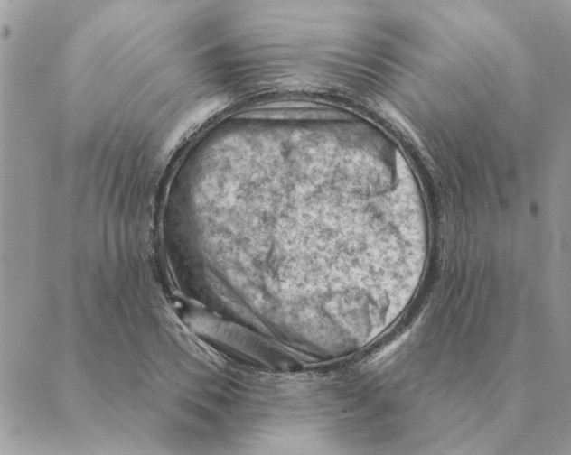 X0000088830930200707051418