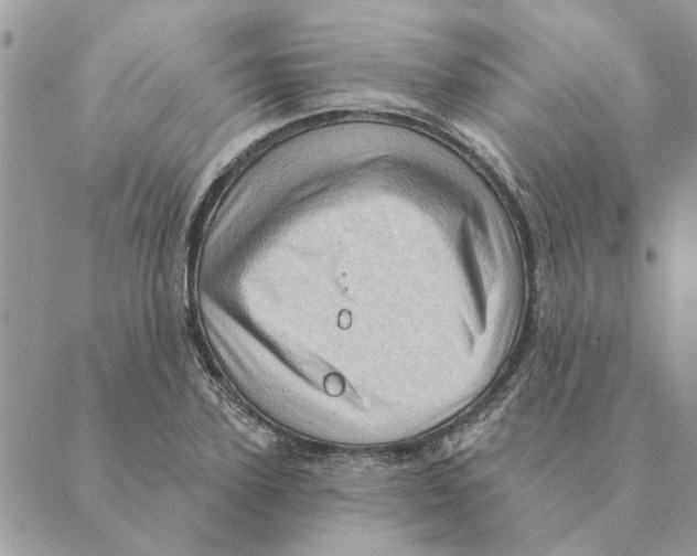 X0000088830931200707051418