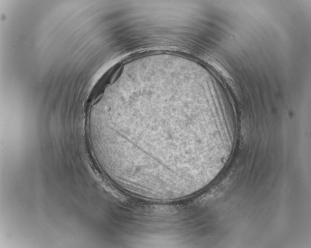 X0000088830933200707051418