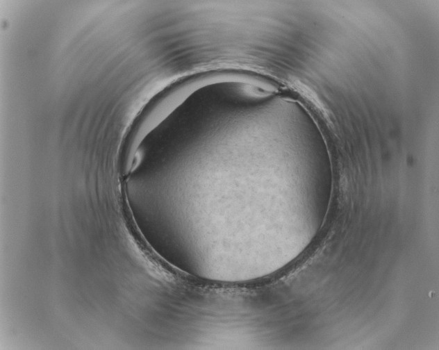 X0000088830934200707051418