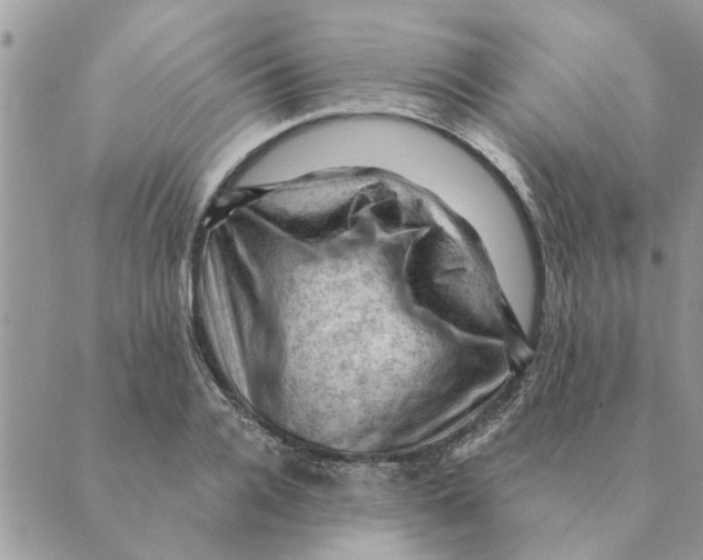 X0000088830936200707051418