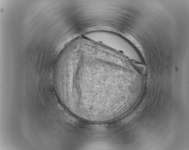 X0000088830937200707051418