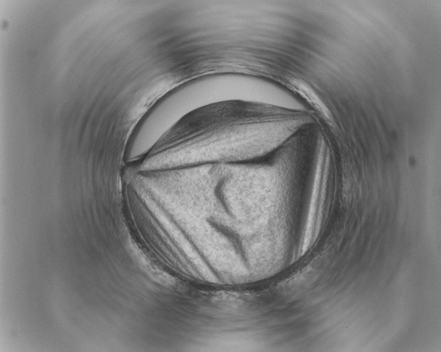 X0000088830938200707051418