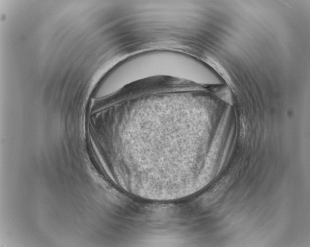 X0000088830939200707051418