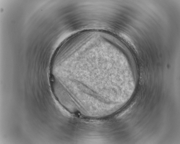 X0000088830942200707051418