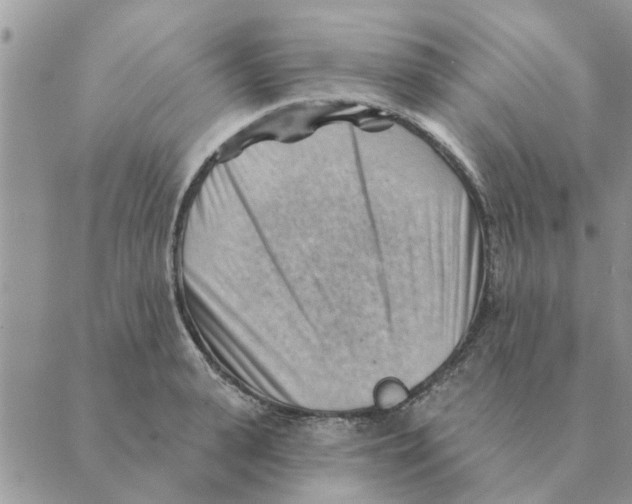 X0000088830943200707051418