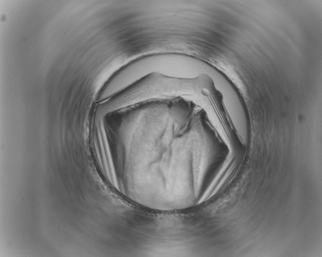 X0000088830944200707051419