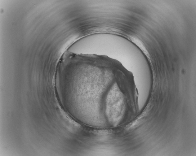 X0000088830946200707051419