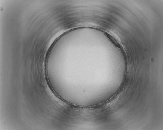 X0000088830947200707051419