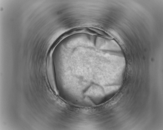 X0000088830948200707051419