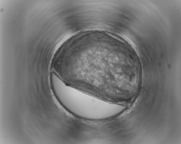 X0000088830949200707051419