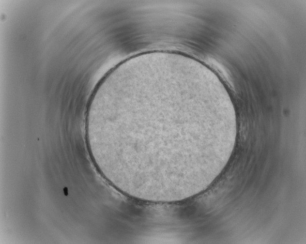 X0000088830950200707051419